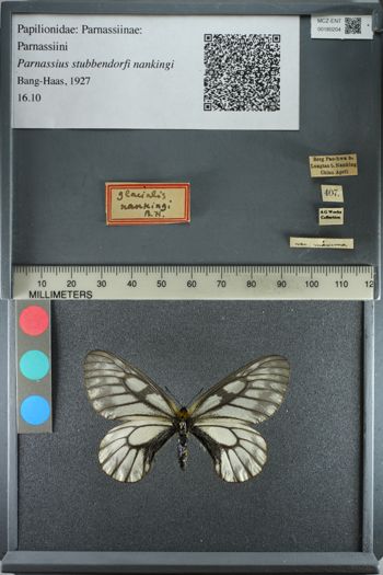Media type: image;   Entomology 180204